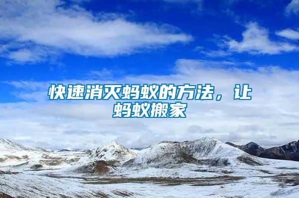 快速消滅螞蟻的方法，讓螞蟻搬家
