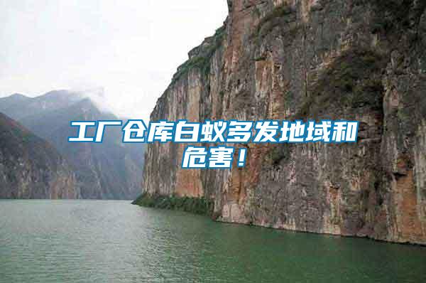 工廠倉庫白蟻多發(fā)地域和危害！