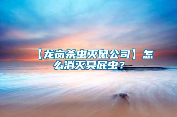 【龍崗殺蟲滅鼠公司】怎么消滅臭屁蟲？