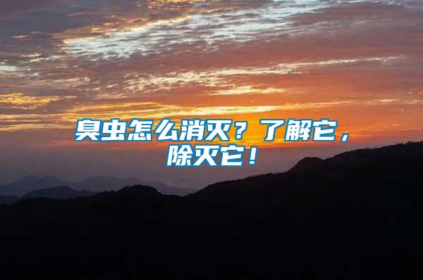 臭蟲怎么消滅？了解它，除滅它！