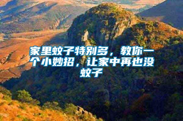家里蚊子特別多，教你一個(gè)小妙招，讓家中再也沒蚊子