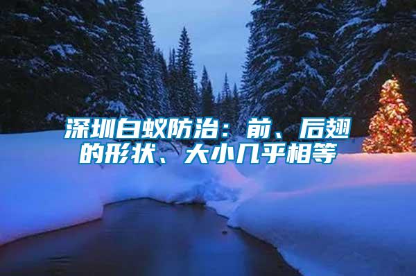 深圳白蟻防治：前、后翅的形狀、大小幾乎相等