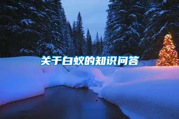 關(guān)于白蟻的知識(shí)問(wèn)答
