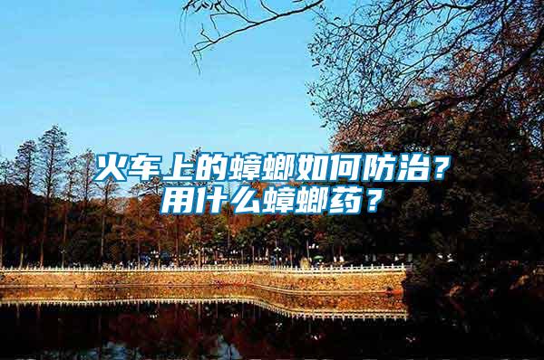火車上的蟑螂如何防治？用什么蟑螂藥？