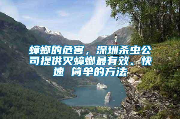 蟑螂的危害，深圳殺蟲公司提供滅蟑螂最有效、快速 簡單的方法