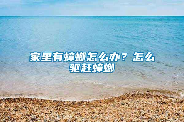 家里有蟑螂怎么辦？怎么驅(qū)趕蟑螂