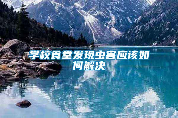 學校食堂發(fā)現(xiàn)蟲害應(yīng)該如何解決