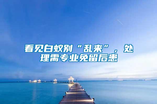 看見白蟻別“亂來”，處理需專業免留后患