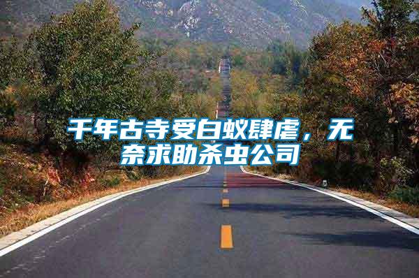 千年古寺受白蟻肆虐，無奈求助殺蟲公司