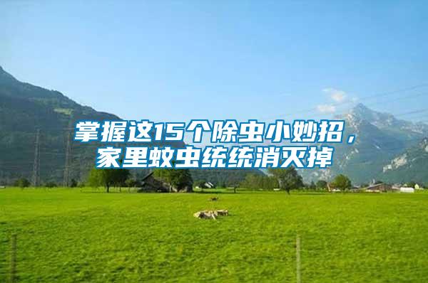 掌握這15個除蟲小妙招，家里蚊蟲統統消滅掉