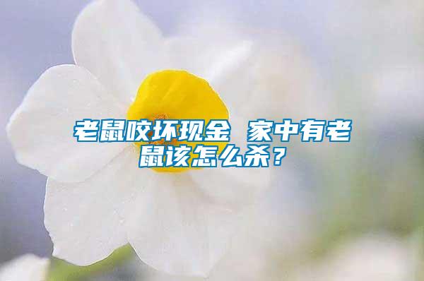 老鼠咬壞現金 家中有老鼠該怎么殺？