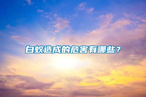 白蟻造成的危害有哪些？