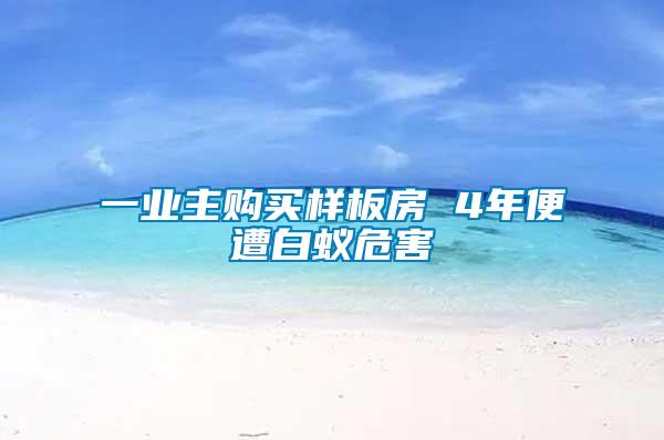 一業(yè)主購(gòu)買(mǎi)樣板房 4年便遭白蟻危害