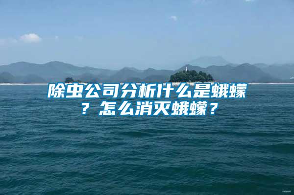 除蟲公司分析什么是蛾蠓？怎么消滅蛾蠓？