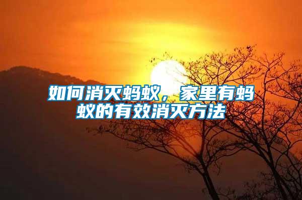 如何消滅螞蟻，家里有螞蟻的有效消滅方法