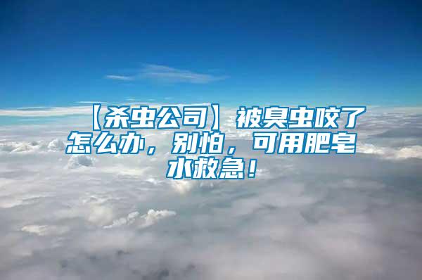 【殺蟲公司】被臭蟲咬了怎么辦，別怕，可用肥皂水救急！