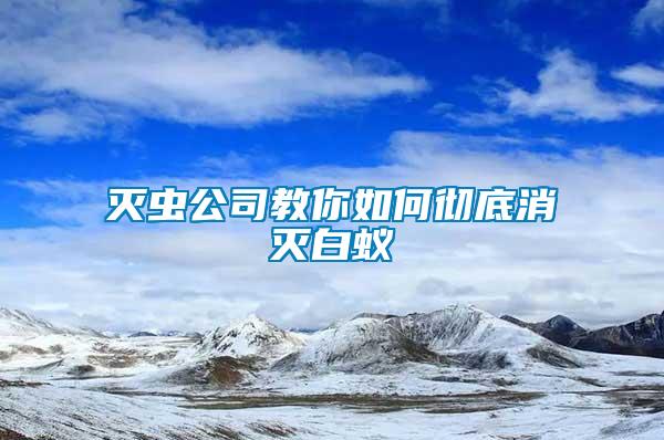 滅蟲(chóng)公司教你如何徹底消滅白蟻