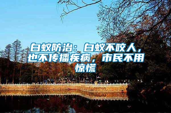 白蟻防治：白蟻不咬人，也不傳播疾病，市民不用驚慌