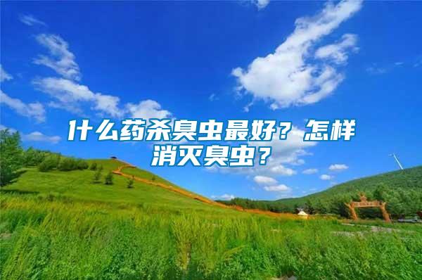 什么藥殺臭蟲(chóng)最好？怎樣消滅臭蟲(chóng)？