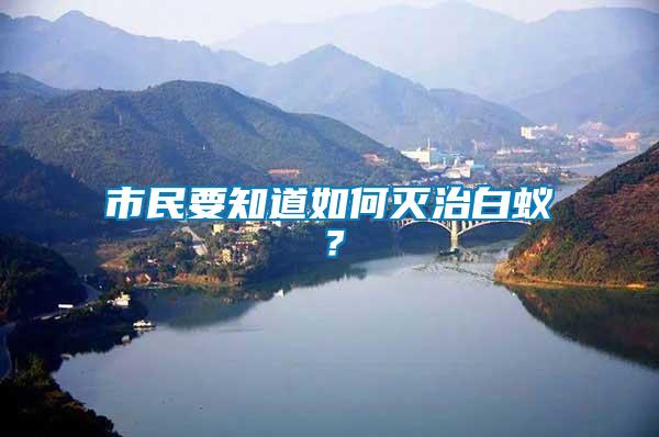市民要知道如何滅治白蟻？