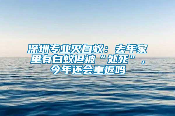 深圳專業滅白蟻：去年家里有白蟻但被“處死”，今年還會重返嗎
