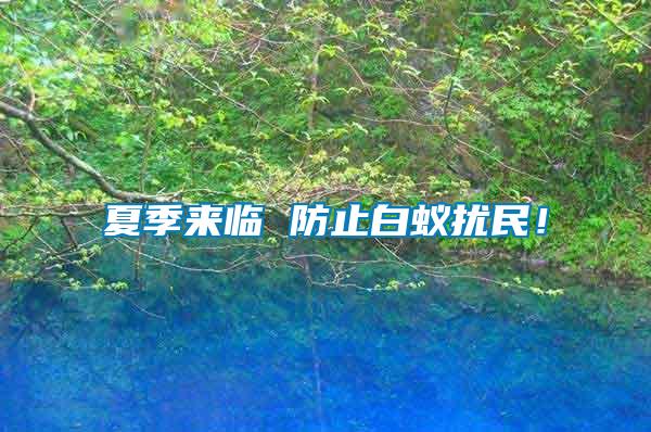 夏季來(lái)臨 防止白蟻擾民！