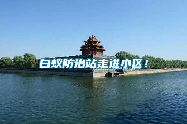 白蟻防治站走進小區(qū)！