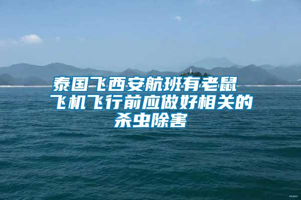 泰國飛西安航班有老鼠 飛機(jī)飛行前應(yīng)做好相關(guān)的殺蟲除害