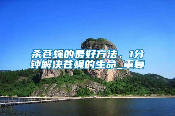 殺蒼蠅的最好方法，1分鐘解決蒼蠅的生命_重復