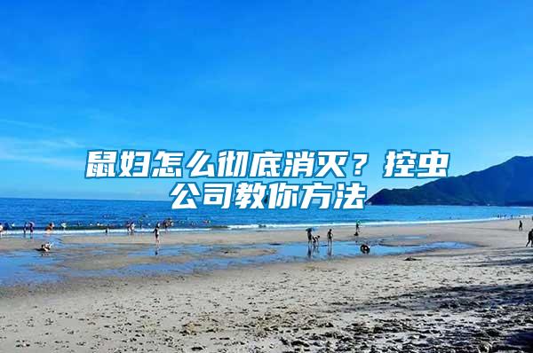 鼠婦怎么徹底消滅？控蟲公司教你方法