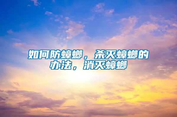 如何防蟑螂，殺滅蟑螂的辦法，消滅蟑螂