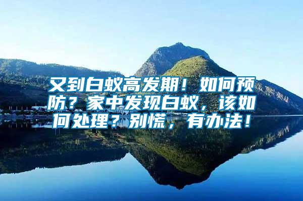 又到白蟻高發期！如何預防？家中發現白蟻，該如何處理？別慌，有辦法！