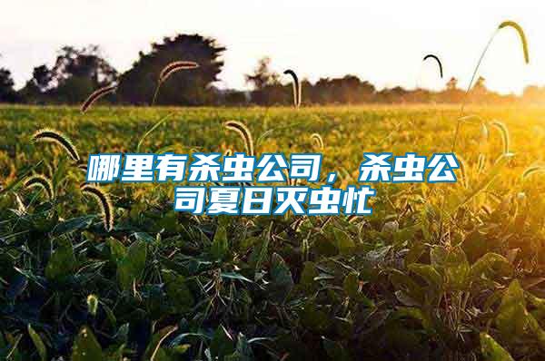 哪里有殺蟲(chóng)公司，殺蟲(chóng)公司夏日滅蟲(chóng)忙