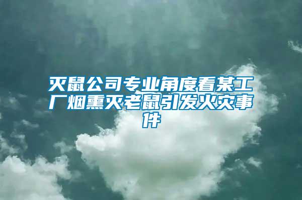 滅鼠公司專業(yè)角度看某工廠煙熏滅老鼠引發(fā)火災事件
