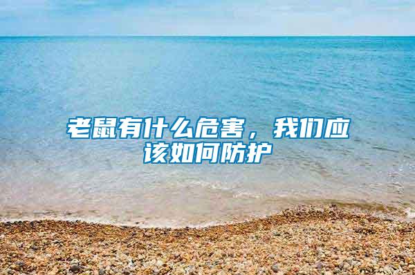 老鼠有什么危害，我們應該如何防護