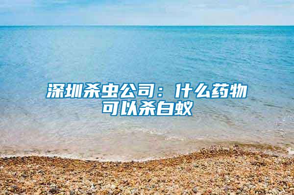 深圳殺蟲(chóng)公司：什么藥物可以殺白蟻