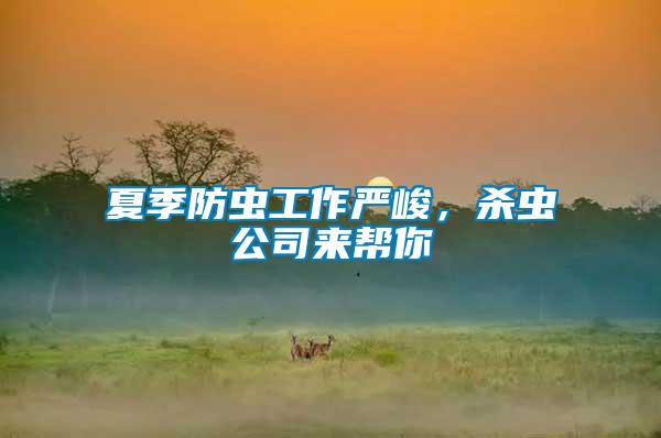 夏季防蟲工作嚴(yán)峻，殺蟲公司來(lái)幫你