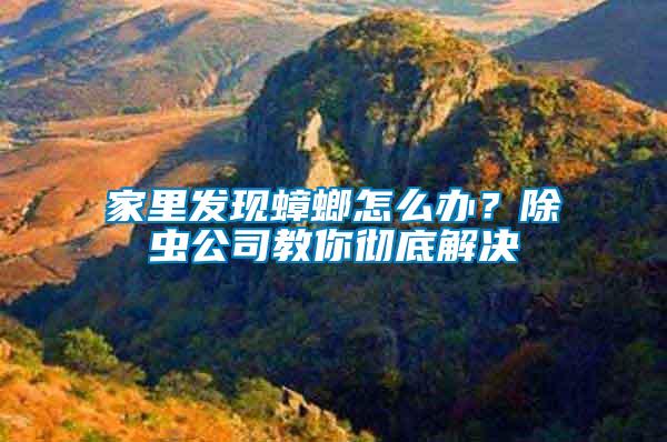 家里發現蟑螂怎么辦？除蟲公司教你徹底解決