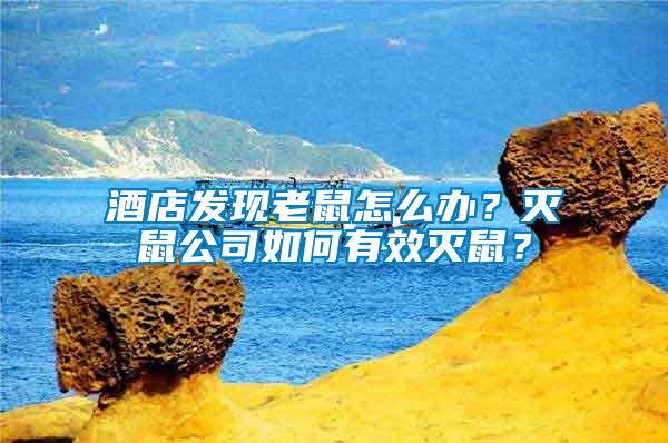 酒店發現老鼠怎么辦？滅鼠公司如何有效滅鼠？