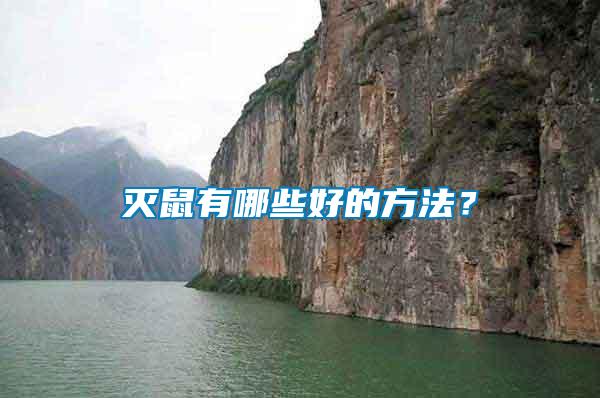 滅鼠有哪些好的方法？