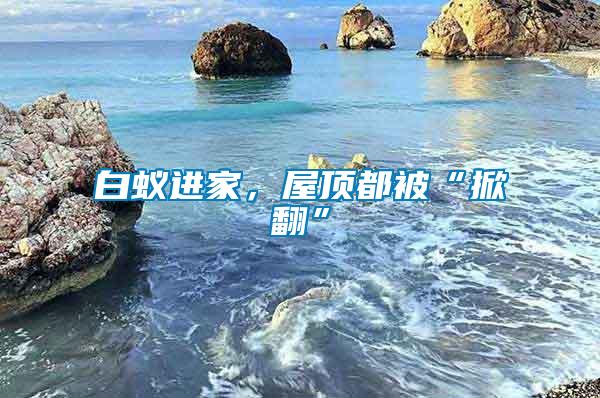白蟻進家，屋頂都被“掀翻”
