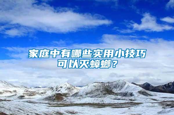 家庭中有哪些實用小技巧可以滅蟑螂？