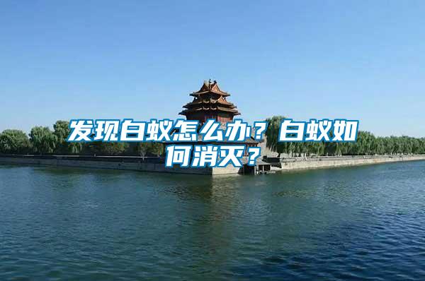 發(fā)現(xiàn)白蟻怎么辦？白蟻如何消滅？