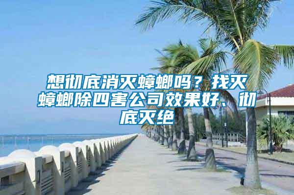 想徹底消滅蟑螂嗎？找滅蟑螂除四害公司效果好、徹底滅絕