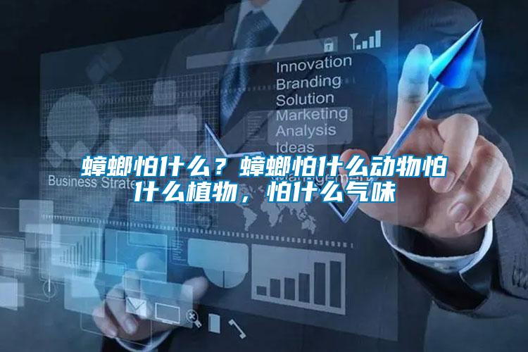 蟑螂怕什么？蟑螂怕什么動物怕什么植物，怕什么氣味
