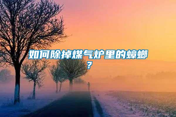 如何除掉煤氣爐里的蟑螂？