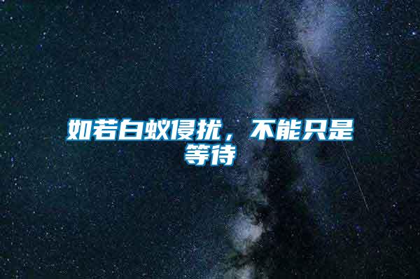 如若白蟻侵擾，不能只是等待