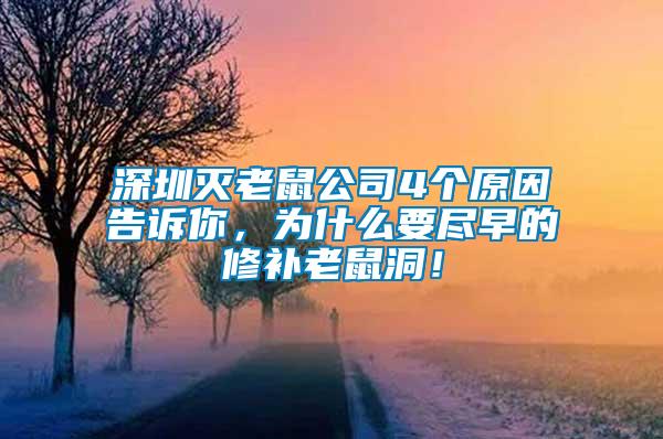 深圳滅老鼠公司4個原因告訴你，為什么要盡早的修補老鼠洞！