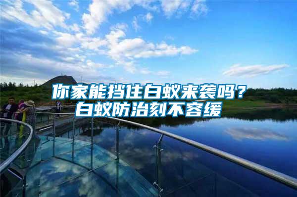 你家能擋住白蟻來襲嗎？白蟻防治刻不容緩