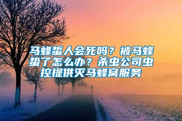 馬蜂蜇人會死嗎？被馬蜂蟄了怎么辦？殺蟲公司蟲控提供滅馬蜂窩服務